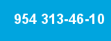 954 313-46-10